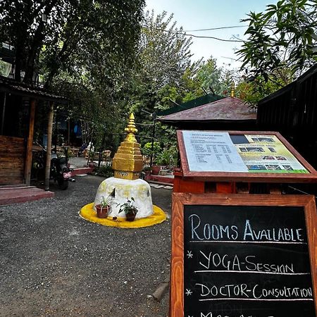 Institute Of Natural Medicine , Yoga & Therapy Home Kathmandu Exterior foto