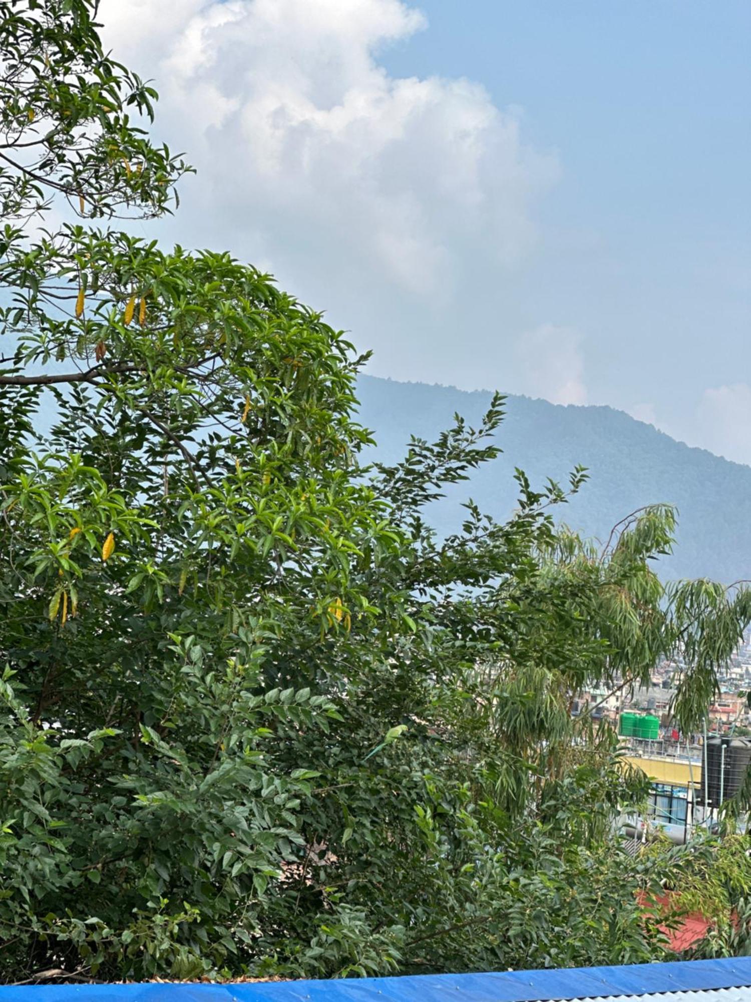Institute Of Natural Medicine , Yoga & Therapy Home Kathmandu Exterior foto
